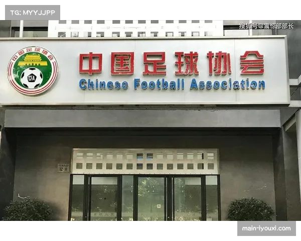 中国足球转会市场需长期规划 急功近利政策难促健康发展 中国足球转会市场需长期规划 急功近利政策难促健康发展